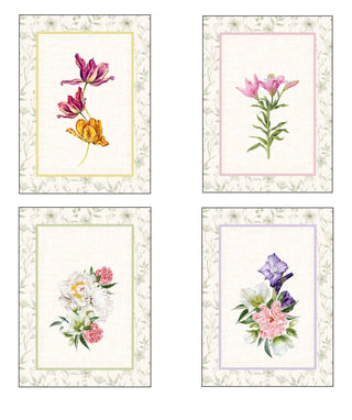 FIESOLE CANOVACCI 4 PEZZI - BURGASSI HOME - Contex Biancheria