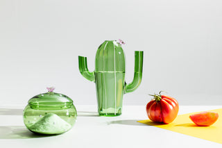 DESERT PLANTS JUG - ICHENDORF