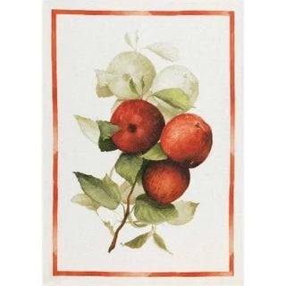 CALVADOS - MELE CANOVACCIO - TESSITURA TOSCANA TELERIE - Contex Biancheria
