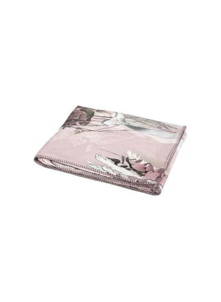 NASTRI PLAID - FAZZINI S.r.l - Contex Biancheria