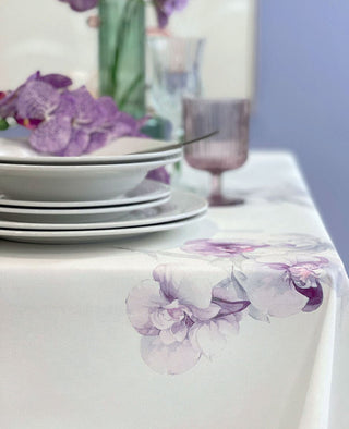 ORCHIDEA TOVAGLIA - BLUMARINE HOME - Contex Biancheria