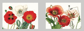 PAPAVERUM SET AMERICANO - TAG HOUSE - Contex Biancheria