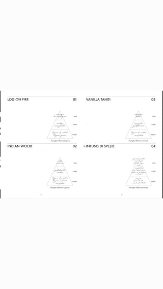 SPRAY PER AMBIENTE 100ML - FAZZINI - Contex Biancheria